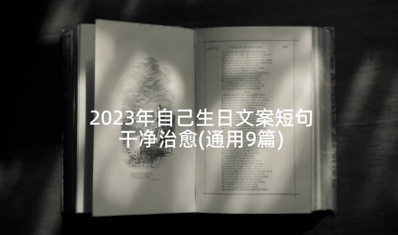 2023年自己生日文案短句干净治愈(通用9篇)