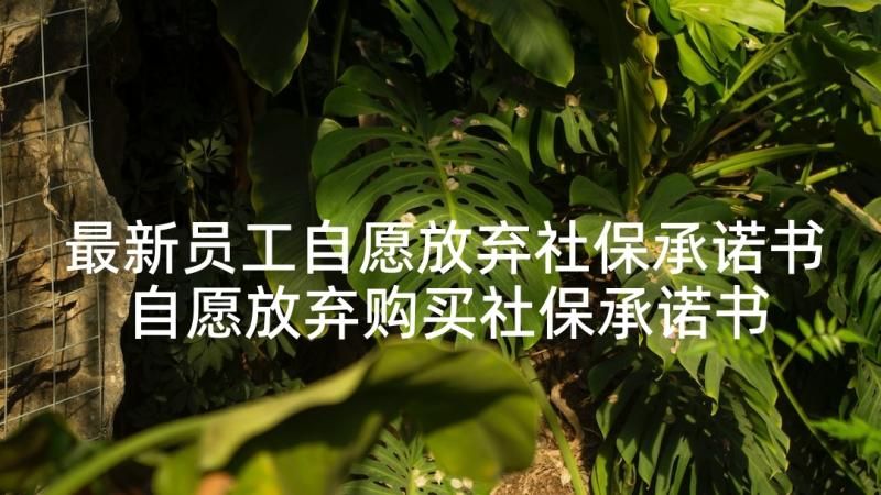 最新员工自愿放弃社保承诺书 自愿放弃购买社保承诺书(汇总8篇)