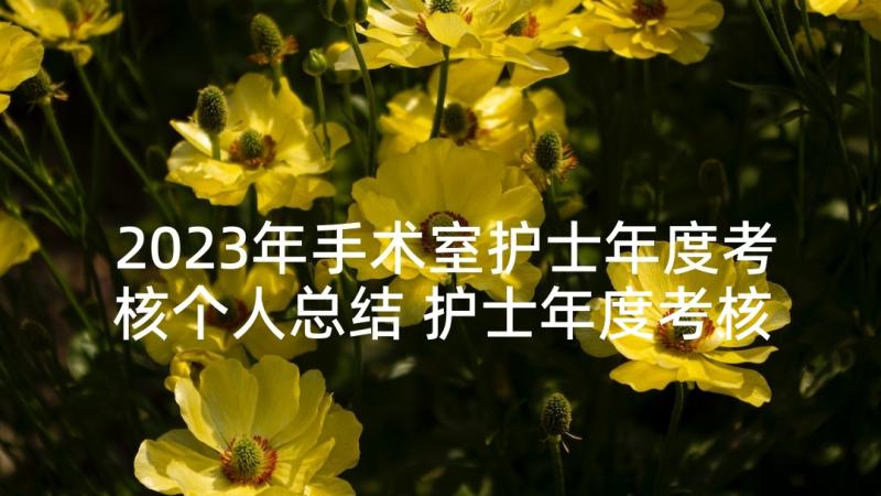 2023年手术室护士年度考核个人总结 护士年度考核个人总结(汇总8篇)