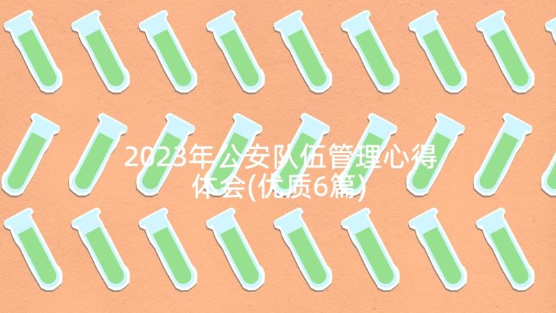 2023年公安队伍管理心得体会(优质6篇)