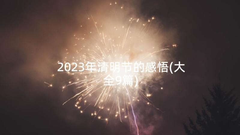 2023年清明节的感悟(大全9篇)