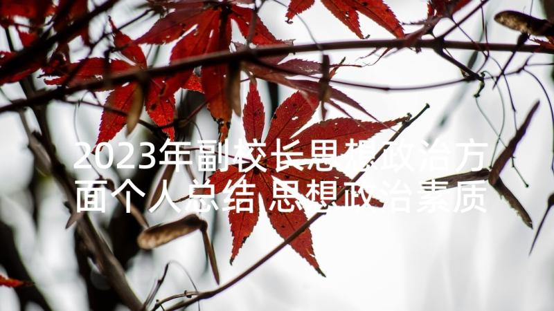 2023年副校长思想政治方面个人总结 思想政治素质方面个人总结(优质5篇)