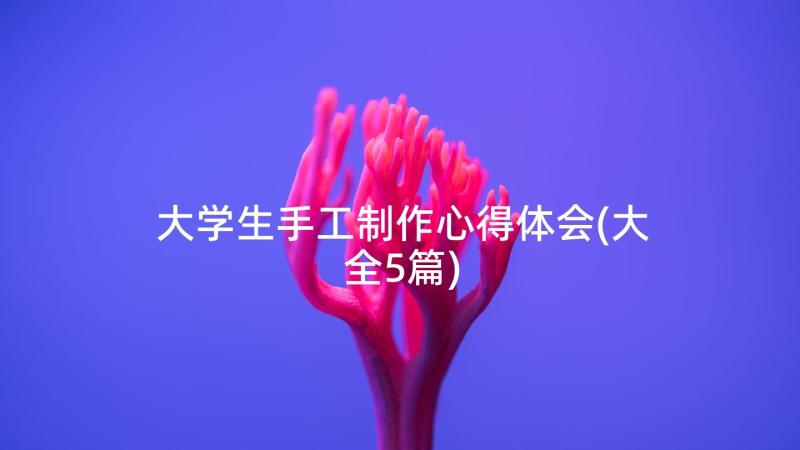 大学生手工制作心得体会(大全5篇)