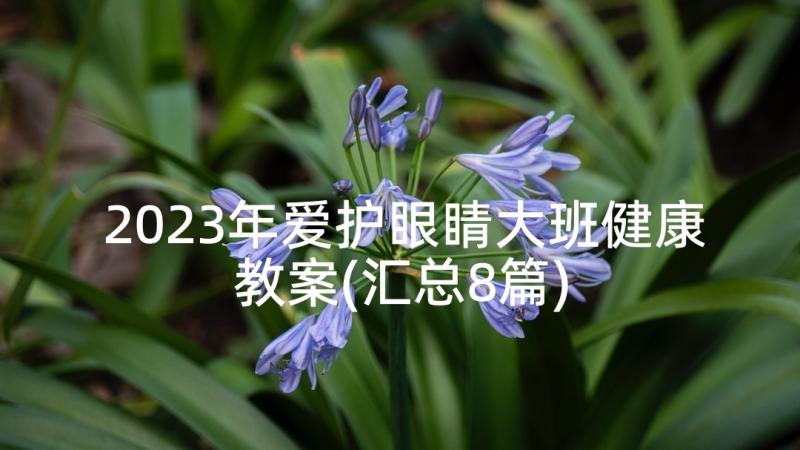 2023年爱护眼睛大班健康教案(汇总8篇)