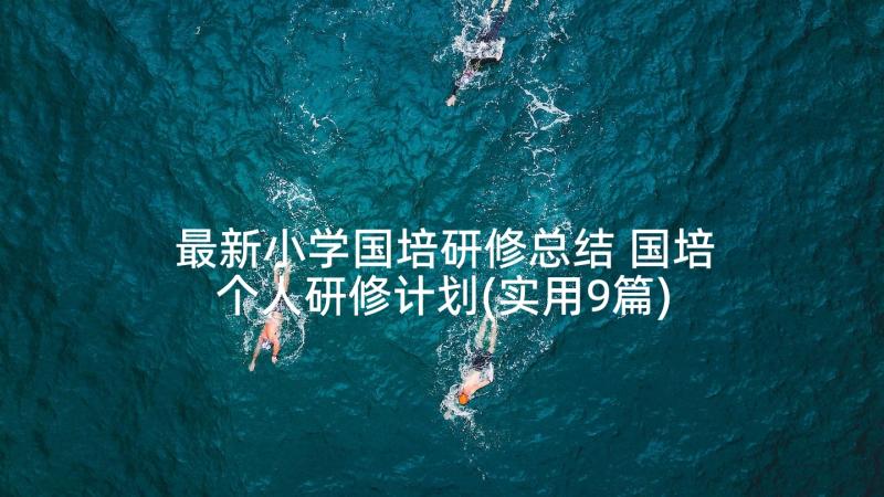 最新小学国培研修总结 国培个人研修计划(实用9篇)