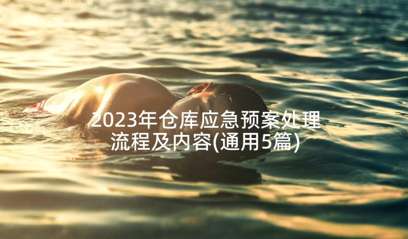 2023年仓库应急预案处理流程及内容(通用5篇)