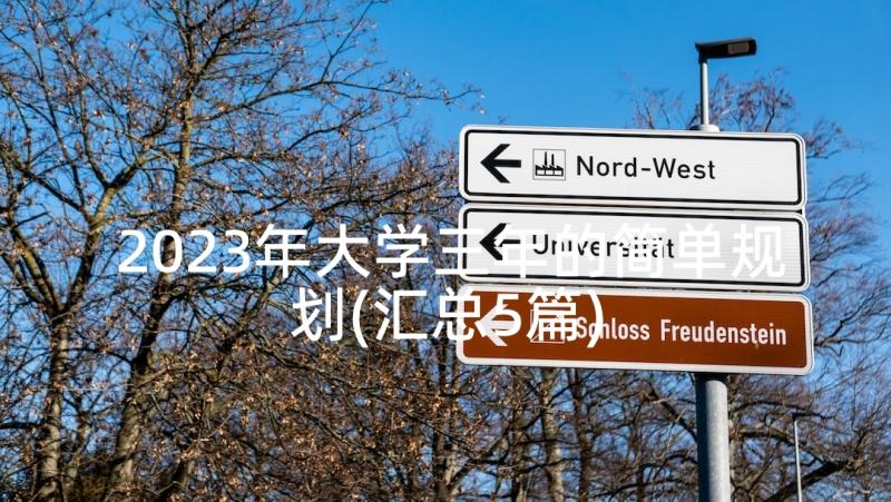 2023年大学三年的简单规划(汇总5篇)