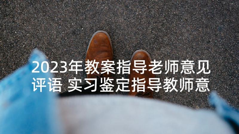 2023年教案指导老师意见评语 实习鉴定指导教师意见评语(实用5篇)