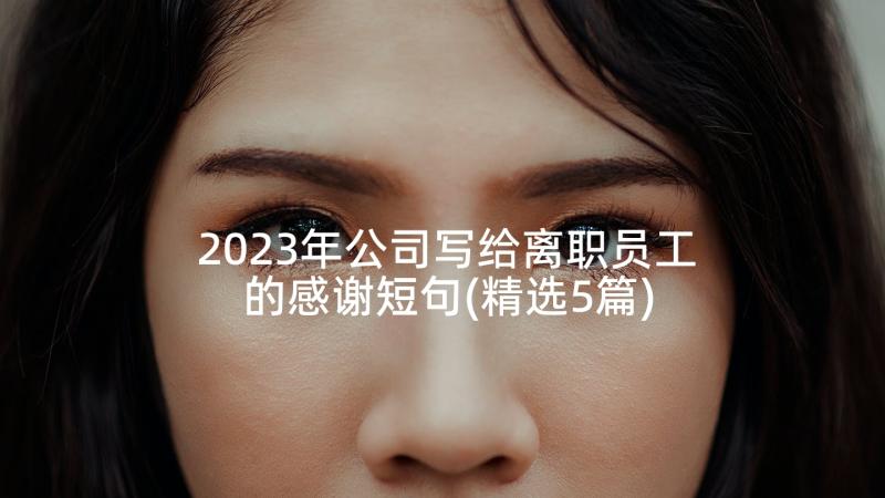 2023年公司写给离职员工的感谢短句(精选5篇)