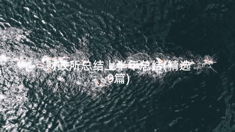 财政所总结上半年总结(精选9篇)