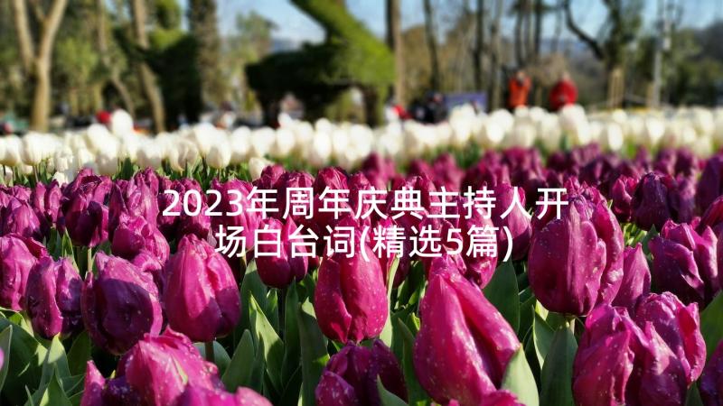 2023年周年庆典主持人开场白台词(精选5篇)