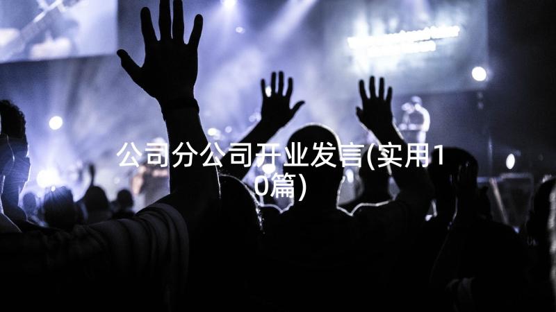 公司分公司开业发言(实用10篇)