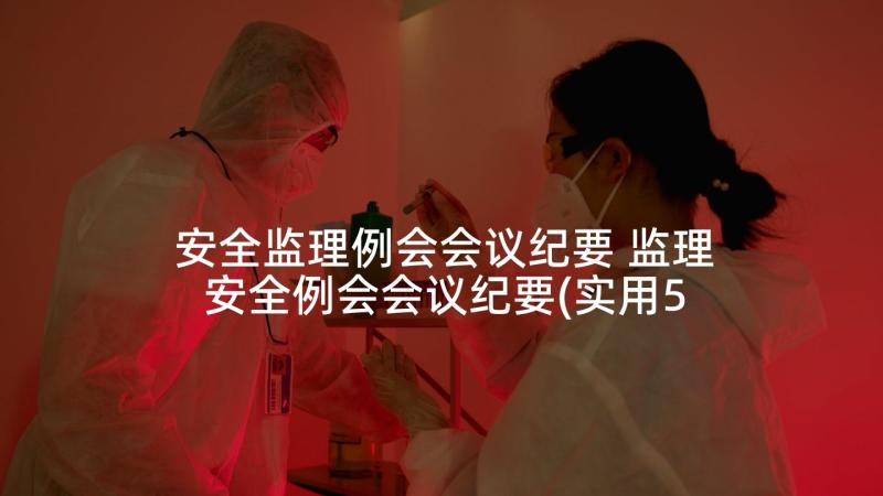 安全监理例会会议纪要 监理安全例会会议纪要(实用5篇)