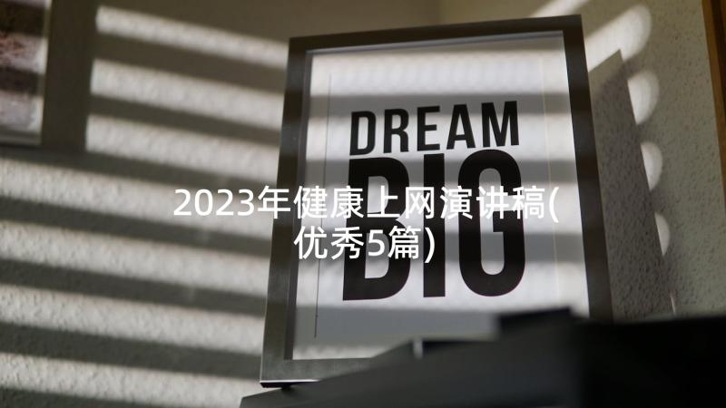 2023年健康上网演讲稿(优秀5篇)