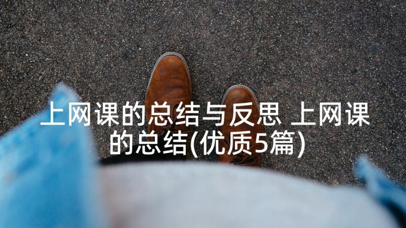 上网课的总结与反思 上网课的总结(优质5篇)