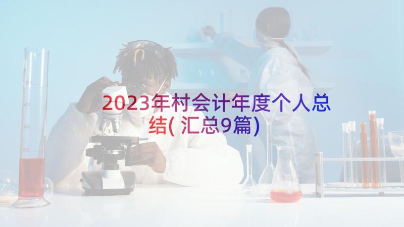 2023年村会计年度个人总结(汇总9篇)