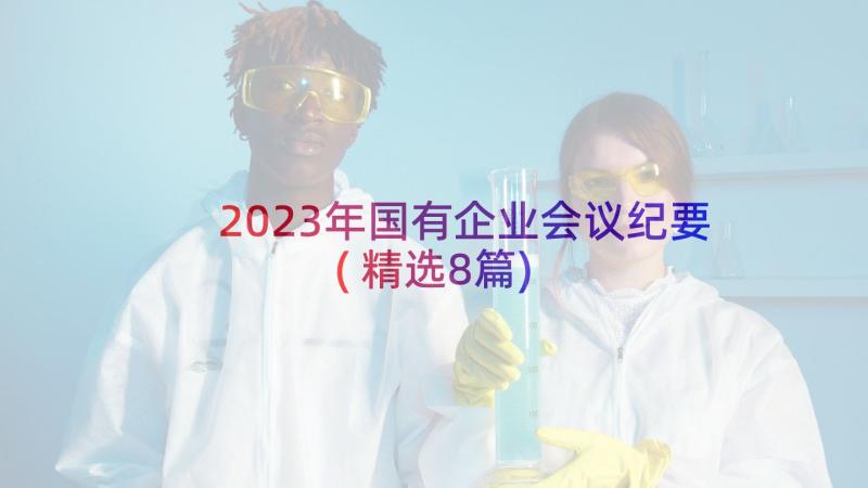 2023年国有企业会议纪要(精选8篇)