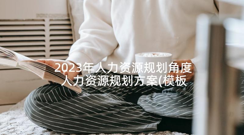 2023年人力资源规划角度 人力资源规划方案(模板5篇)