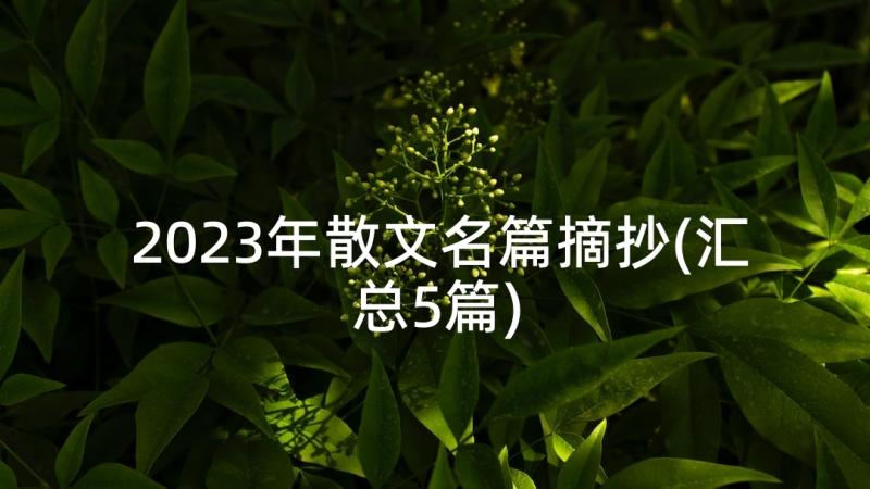 2023年散文名篇摘抄(汇总5篇)