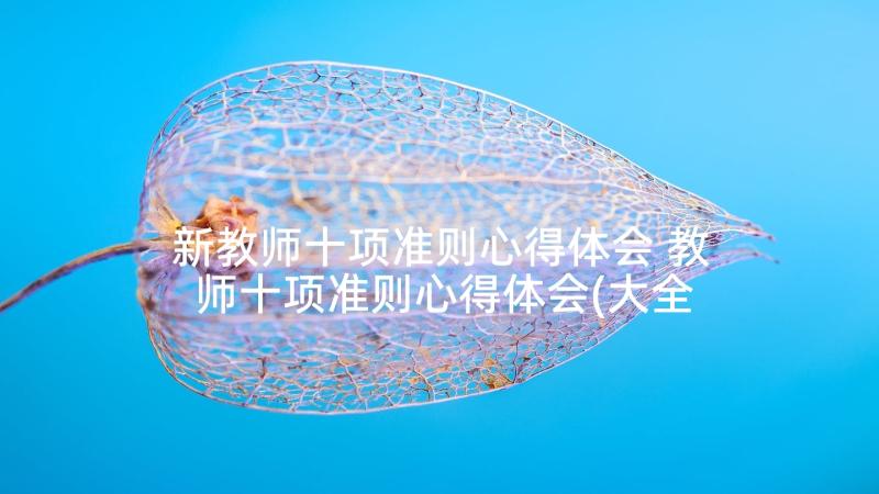 新教师十项准则心得体会 教师十项准则心得体会(大全6篇)