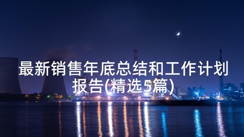 最新销售年底总结和工作计划报告(精选5篇)