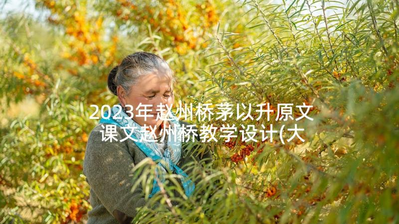 2023年赵州桥茅以升原文 课文赵州桥教学设计(大全5篇)