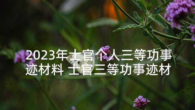 2023年士官个人三等功事迹材料 士官三等功事迹材料(汇总5篇)