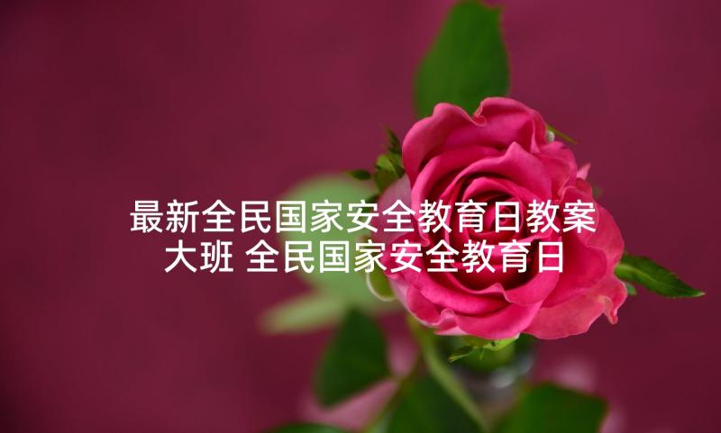 最新全民国家安全教育日教案大班 全民国家安全教育日中班教案(实用5篇)