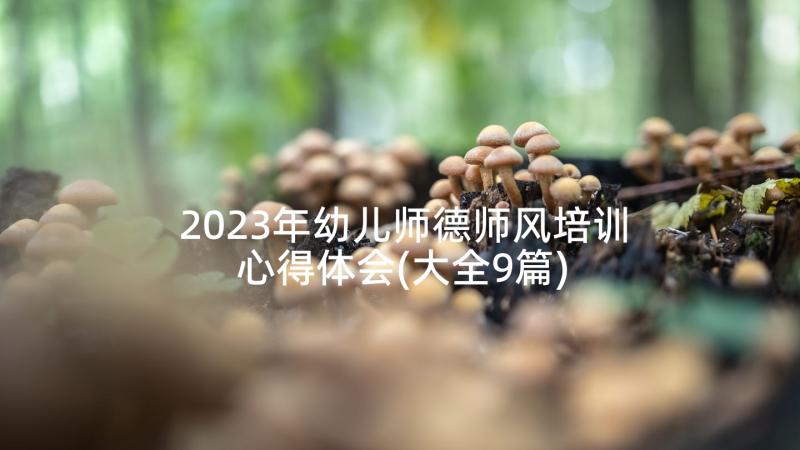 2023年幼儿师德师风培训心得体会(大全9篇)