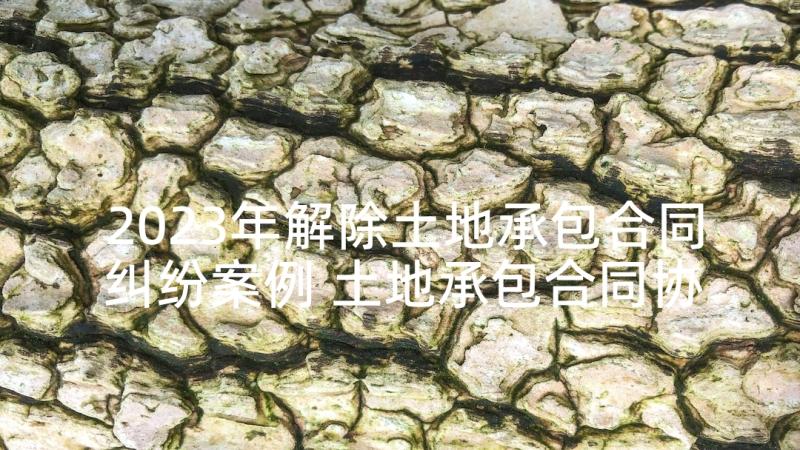 2023年解除土地承包合同纠纷案例 土地承包合同协议书(优秀9篇)