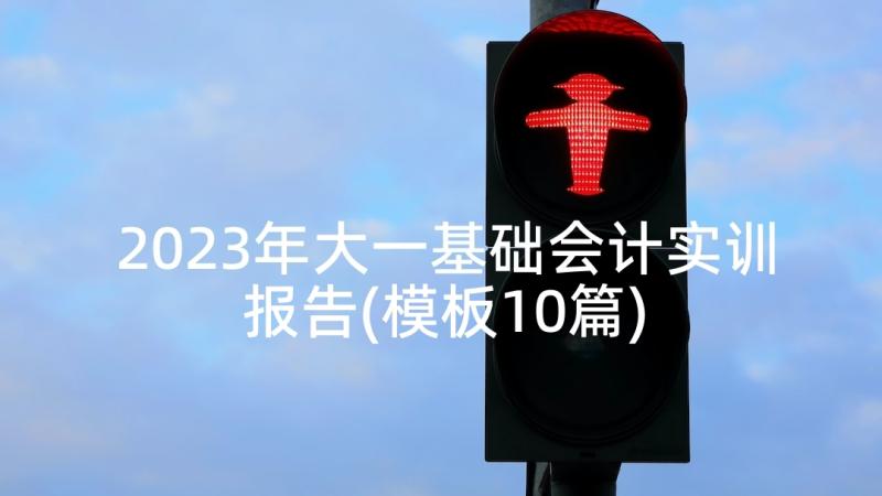 2023年大一基础会计实训报告(模板10篇)