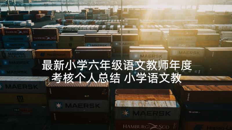 最新小学六年级语文教师年度考核个人总结 小学语文教师年度考核个人总结(大全10篇)