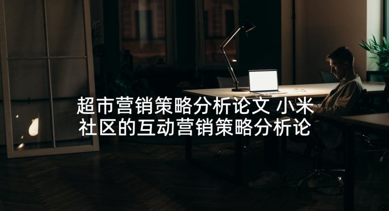 超市营销策略分析论文 小米社区的互动营销策略分析论文(通用5篇)