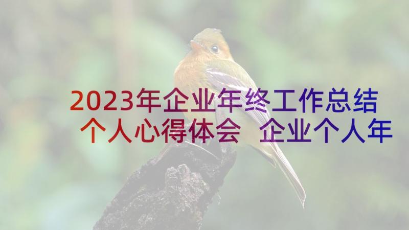 2023年企业年终工作总结个人心得体会 企业个人年终工作总结(精选8篇)