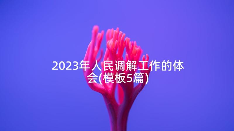 2023年人民调解工作的体会(模板5篇)