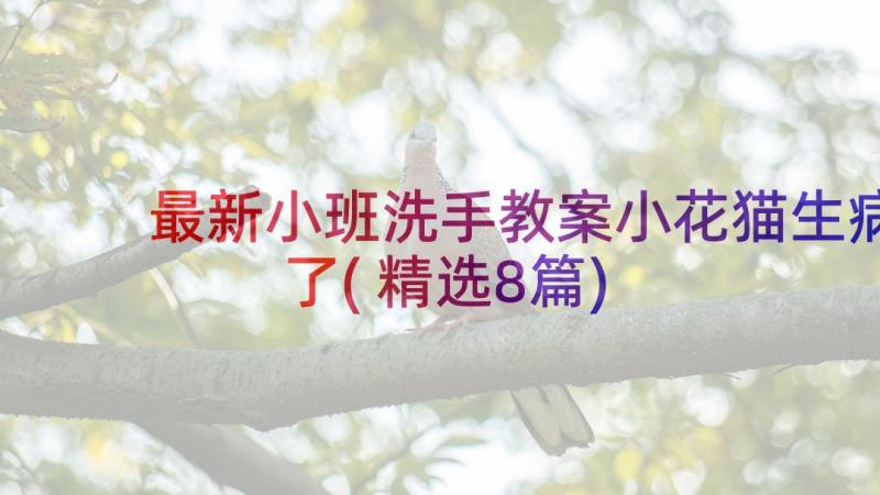 最新小班洗手教案小花猫生病了(精选8篇)