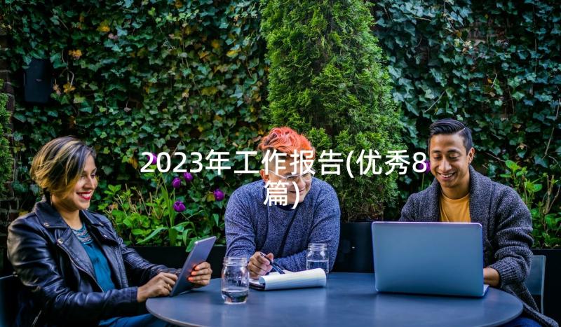 2023年工作报告(优秀8篇)