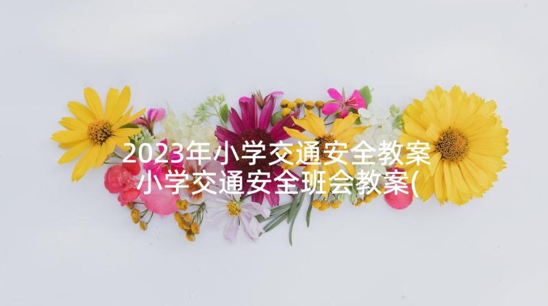 2023年小学交通安全教案 小学交通安全班会教案(实用8篇)