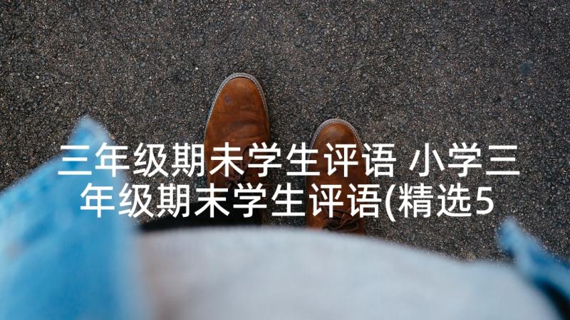 三年级期未学生评语 小学三年级期末学生评语(精选5篇)