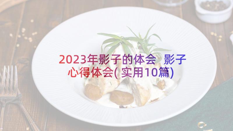 2023年影子的体会 影子心得体会(实用10篇)