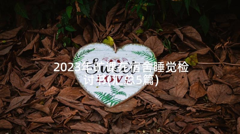 2023年旷课在宿舍睡觉检讨书(汇总5篇)