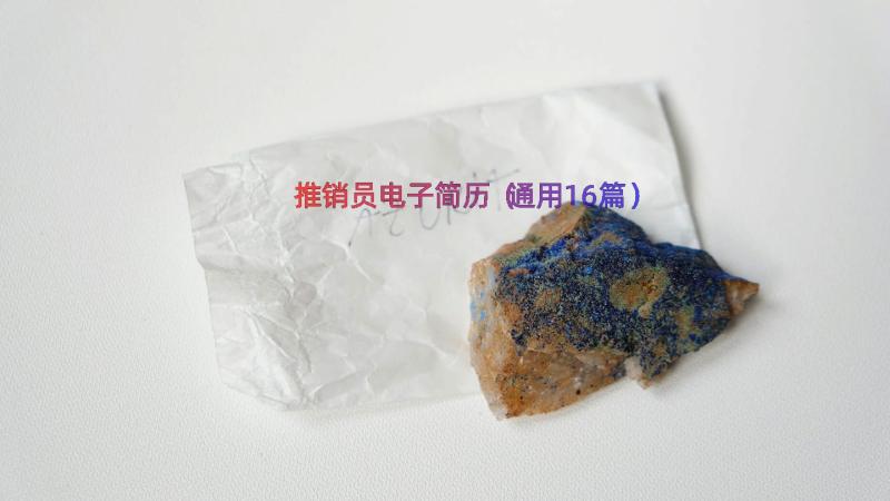 推销员电子简历（通用16篇）