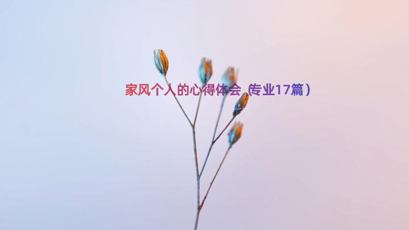 家风个人的心得体会（专业17篇）