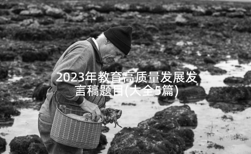 2023年教育高质量发展发言稿题目(大全5篇)