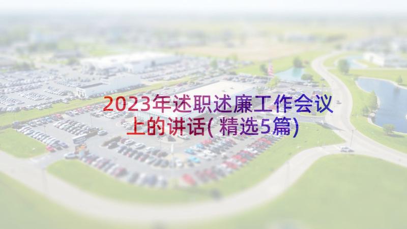 2023年述职述廉工作会议上的讲话(精选5篇)