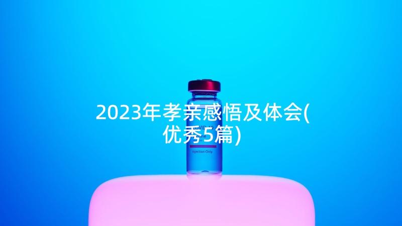 2023年孝亲感悟及体会(优秀5篇)