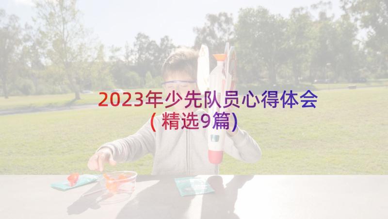 2023年少先队员心得体会(精选9篇)