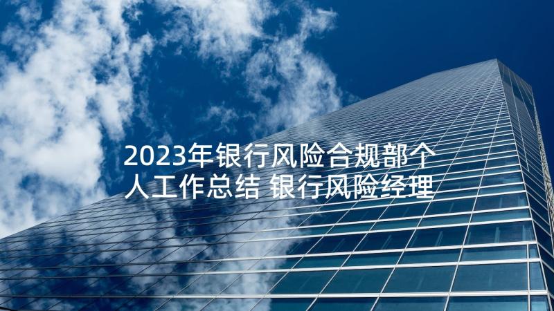 2023年银行风险合规部个人工作总结 银行风险经理年度工作总结(精选5篇)