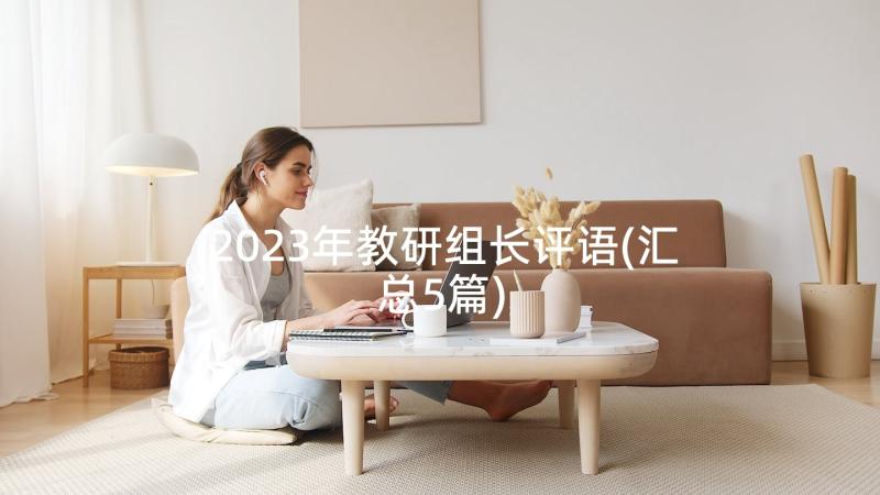 2023年教研组长评语(汇总5篇)