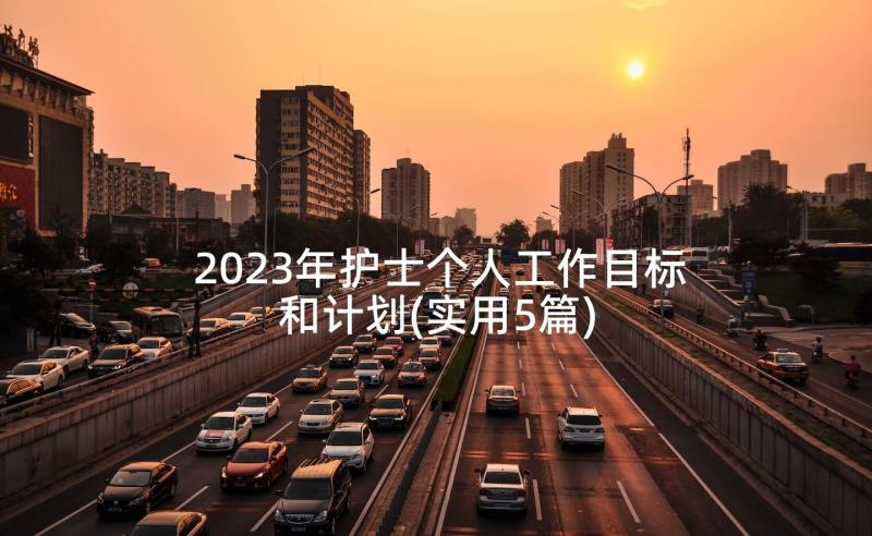 2023年护士个人工作目标和计划(实用5篇)